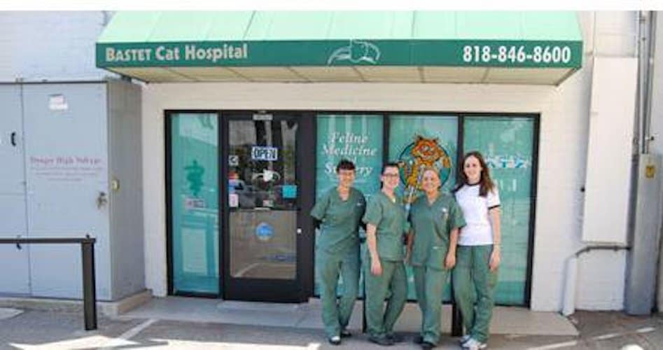 Group of veterinarians standing outside Bastet Cat Hospital with turquoise awning