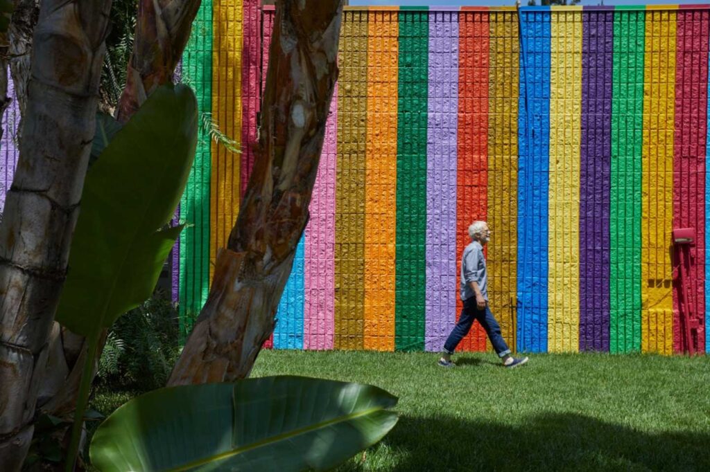 A person with white hair and a grey shirt walks across a green lawn in front of a massive wall painted with vertical rainbow stripes. Tropical palm leaves frame the foreground.